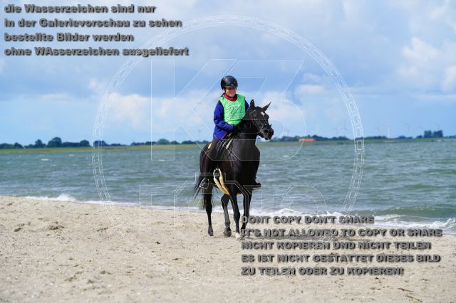 s_K3F05207.JPG